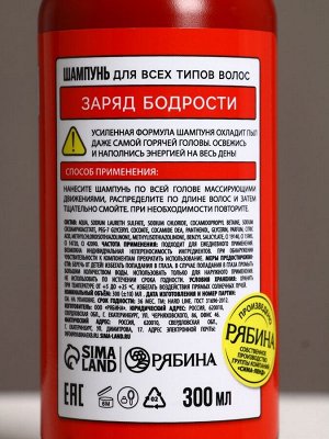 Подарочный набор «Тушение мужика»: гель для душа и шампунь для волос, 2x300 мл, HARD LINE