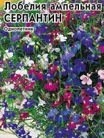 Лобелия Серпантин ампельная, смесь 0,05 г  б/п