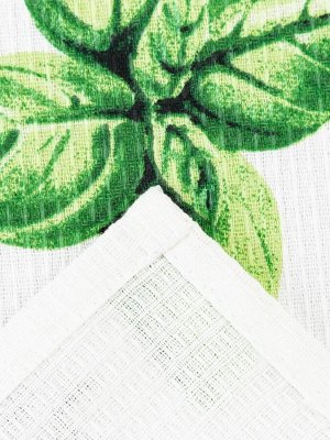 Набор кухонных полотенец Доляна Fines herbes, 35х60см-2шт, 100% хлопок