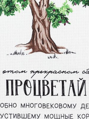 Набор кухонных полотенец Доляна «Процветай», 35х60см-2шт, 100% хлопок