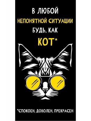 Конверт для денег "Кот"