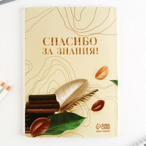 Подарочный набор «Учителю: С днём учителя»: ежедневник А5, 96 листов и ручки софт-тач