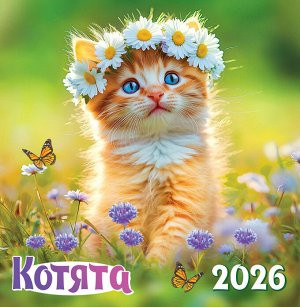 СРЕДНИЙ перекидной настенный календарь на скрепке на 2026 год "Котята"