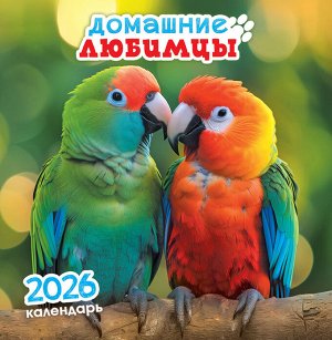 СРЕДНИЙ перекидной настенный календарь на скрепке на 2026 год "Домашние любимцы"