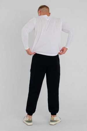 Арт.ПТ- 62905 Брюки мужские с начесом 48-60 (7 шт)