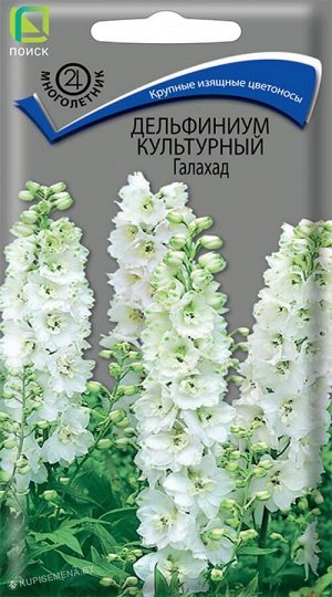 Дельфиниум культурный Галахад (ЦВ) ("М) 0,1гр.