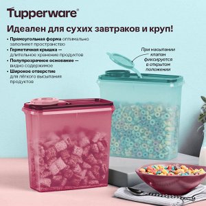 Компактус «Гигант» (2,8 л), 2 шт.