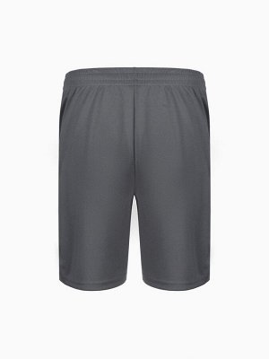 Шорты мужские Resport, 50, серые, базовые