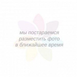 Пуховик женский коричневый