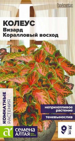 Цветы Колеус Визард Коралловый Восход/Сем Алт/цп 5 шт.