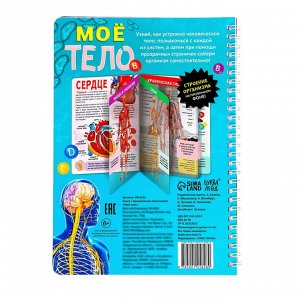 Книга-энциклопедия "Тело человека", твердый переплет, прозрачные страницы, размер 24х17 см, 32 стр.