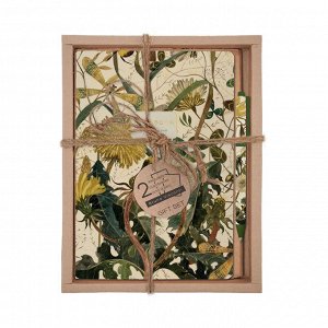 Набор подарочный: тетрадь 2 шт., ручка шар., BrunoVisconti Summer Greens