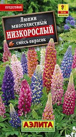 Люпин Низкорослый, смесь окрасок
