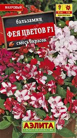 Фея цветов махровая бальзамин  5шт (а)
