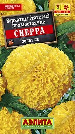 Бархатцы Сиерра золотые