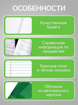 Тетрадь предметная, 36 листов в линейку, Calligrata «MonoTone. Литература», серые листы