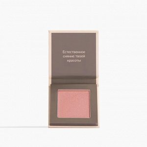 Румяна Pure Makeup, цвет Нюдовые