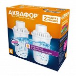 Сменный модуль &quot;Аквафор B100-6&quot; (2 шт в компл.)