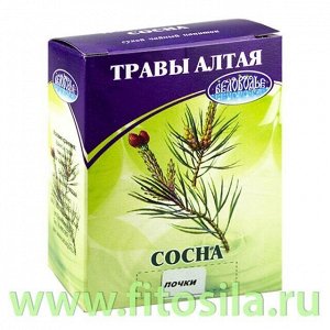 Сосна, почки, 25 г (коробочка), чайный напиток