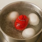 Таймер для варки яиц, кухонный, пластик