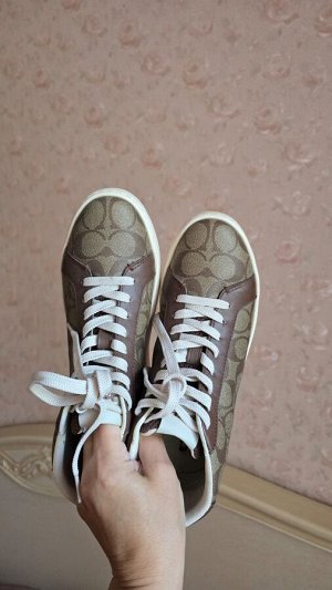Кеды COACH оригинал