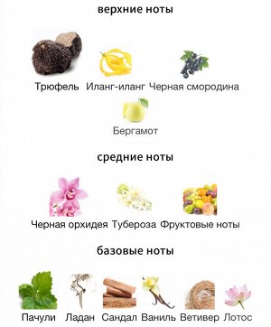 Духи Black Orchid Tom Ford 100 мл. Оригинал