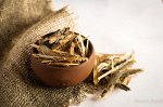 Ива белая, кора