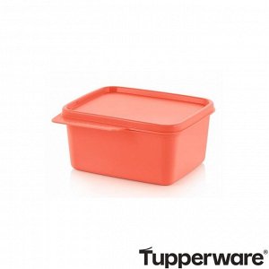 Контейнер Каскад 0,5 литра, 1шт - Tupperware®.