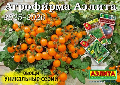 АЭЛИТА - Только новинки 2025-2026 года