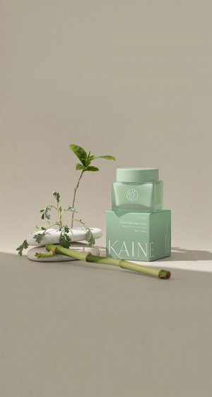 Успокаивающий крем для лица с экстрактом зеленых растений - KAINE GREEN CALM AQUA CREAM