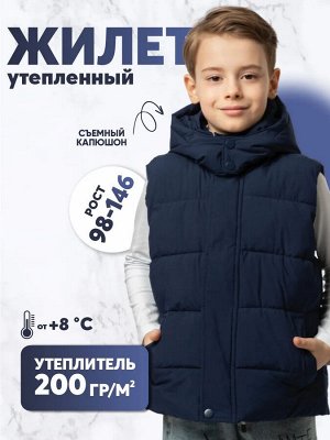 Жилет для мальчика утепленный демисезонный