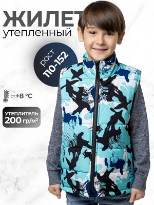 Жилет утепленный демисезонный