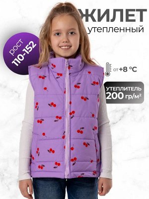 Жилет утепленный демисезонный