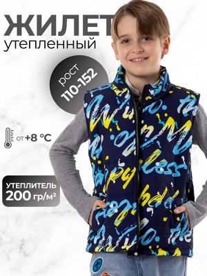 Жилет утепленный демисезонный