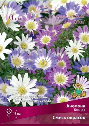 Анемона Бланда Смесь 5/6 10шт (Поиск)