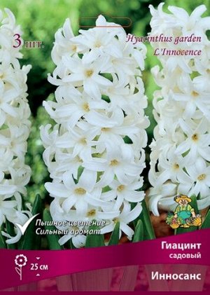 Гиацинт Инносанс 14/15 3шт (Поиск)