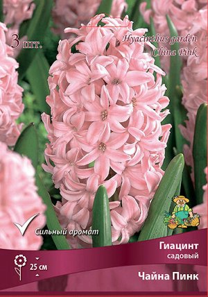 Гиацинт Чайна Пинк 14/15 3шт (Поиск)