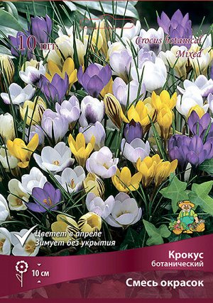 Крокус Ботанические Смесь 5/+ 10шт (Поиск)