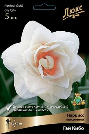 Нарцисс Гай Кибо 12/14 3шт (Поиск)