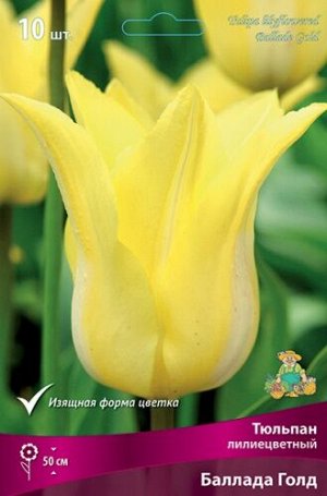 Тюльпан Баллада Голд 11/12 7шт (Поиск)