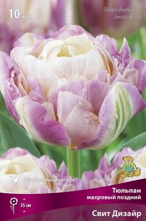 Тюльпан Свит Дизайр 11/12 7шт (Поиск)