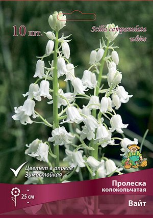 Пролеска Вайт 7/8 10шт (Поиск)