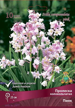 Пролеска Пинк 7/8 10шт (Поиск)