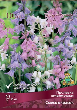Пролеска Смесь 7/8 10шт (Поиск)