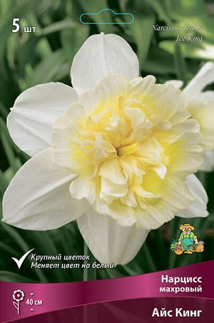 Нарцисс Айс Кинг 12/14 5шт (Поиск)