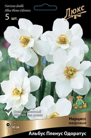 Нарцисс Альбус Пленус Одоратус 12/14 3шт (Поиск)