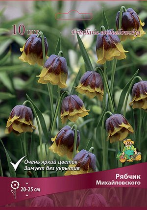 Рябчик Михайловского 5/+ 5шт (Поиск)