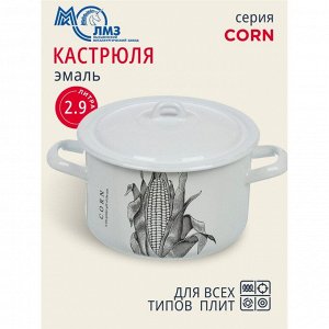 Кастрюля эмалированная сталь, 2.9 л, с крышкой, крышка сталь, цилиндрическая, ЛЗЭП, Corn, С-16111/4Э, индукция