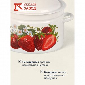 Кастрюля эмалированная сталь, 8 л, с крышкой, крышка сталь, цилиндрическая, Керченский металлургический завод, Клубника садовая, 41804-202/6-У2