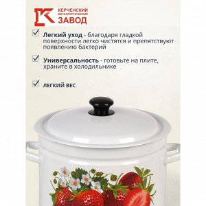 Кастрюля эмалированная сталь, 8 л, с крышкой, крышка сталь, цилиндрическая, Керченский металлургический завод, Клубника садовая, 41804-202/6-У2